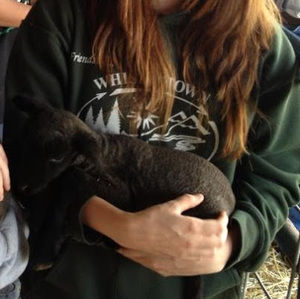 Meet your Posher, Kilee1375